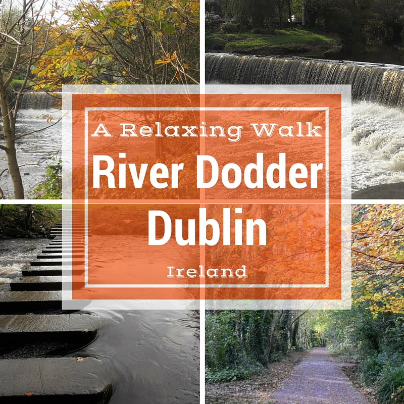 Dodder